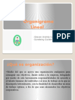 Organización Lineal