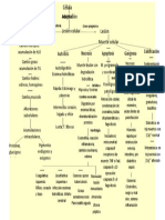 Mapa Conceptual 4