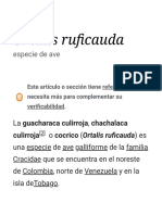 Ortalis Ruficauda - Wikipedia, La Enciclopedia Libre