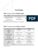 The Cell Cycle: Comparison Between Interphase Stages