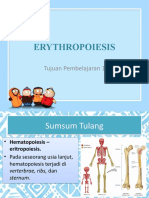 Erythropoiesis: Tujuan Pembelajaran 1