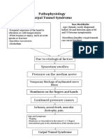 Pathophysiology Carpal Tunnel Syndrome: Due To Etiological Factors