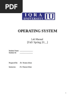 Operating System: (Fall/ Spring 20 - )