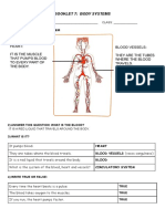 Booklet 7: Circulatory and Respiratory Systems