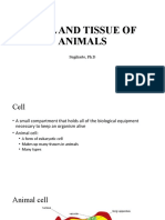 Cell and Tissue of Animals