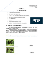 Sociales1eso-Tema12-EL Neolítico-(1)