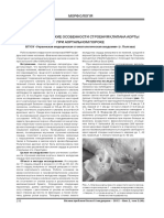 morfometricheskie-osobennosti-stroeniya-klapana-aorty-pri-aortalnom-poroke (1)