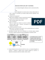 Taller Biología Noveno Adn