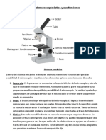 Partes Del Microscopio Óptico y Sus Funciones