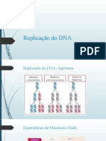 Replicação do DNA: hipóteses e resultados