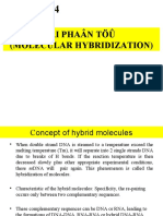Lai Phaân Töû (Molecular Hybridization)