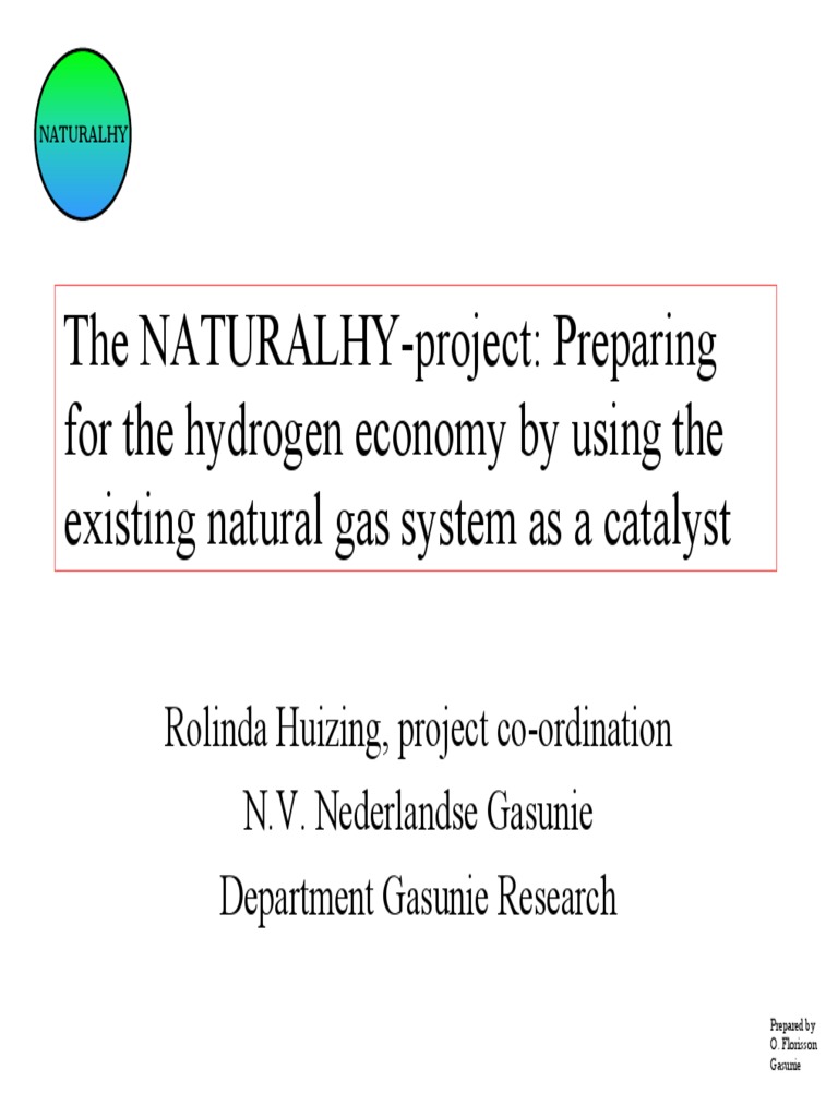 Florisson The NATURALHY Project | PDF | Natural Gas | Life Cycle Assessment