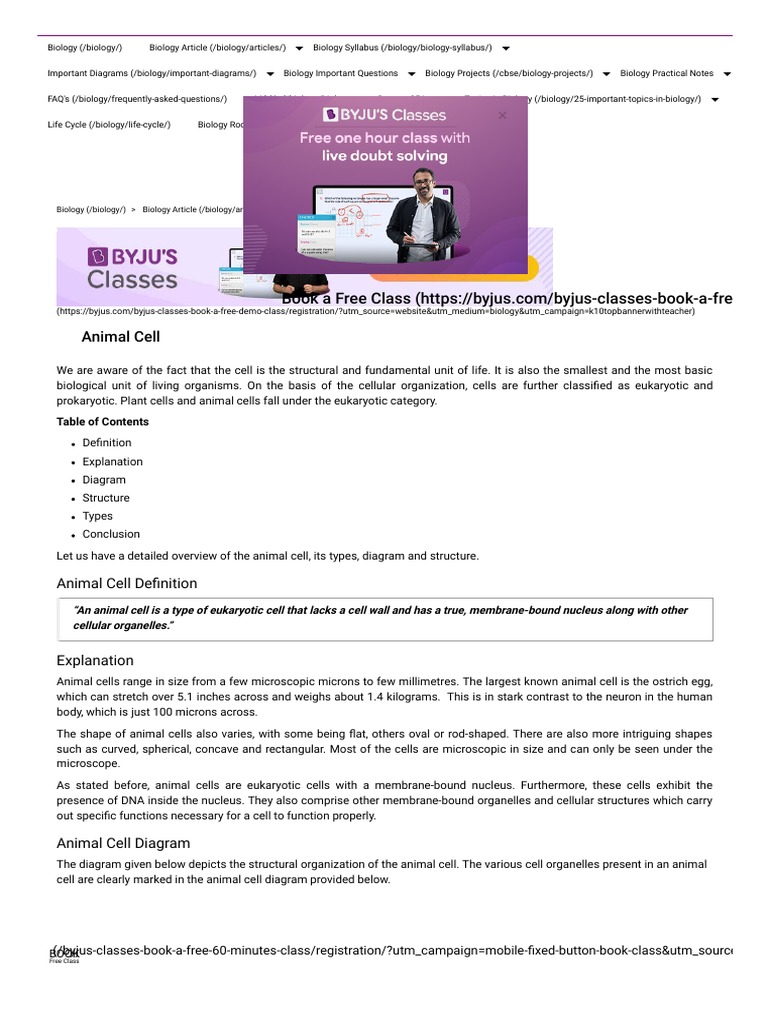 Animal Cell - Structure, Function, Diagram and Typ | PDF | Cell Nucleus ...