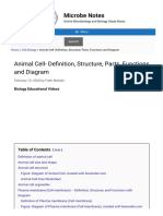 Animal Cell - Definition, Structure, Parts, Functio