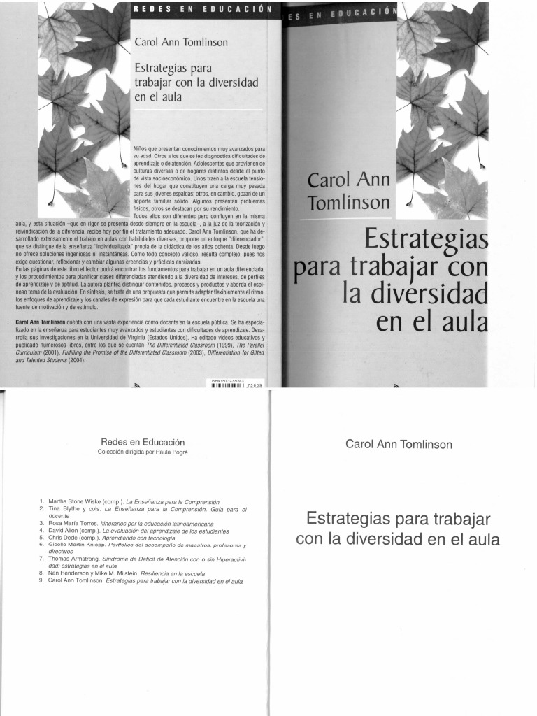 Estrategias para Trabajar Con La Diversidad en El Aula | PDF