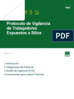 Difusion Del Protocolo MINSAL Vigilancia Trabajadores Expuestos A Silice