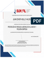 Certificado Sunafil