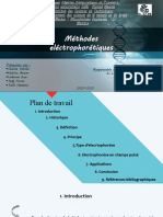 Electrophorese en Champ Pulsé