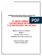 Informe - El Medio Ambiente, Los Recursos Naturales y La Protección Del Estado en Bolivia