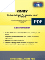 Kidney: Biochemical Tests For Assessing Renal Functions