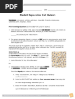 Cell Division, 5.2