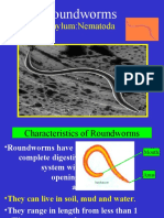 Roundworms