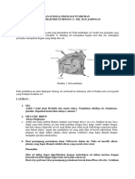 AnFistum Modul Prak mgg-2 Sel, Jaringan 2019