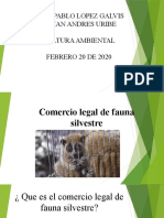 Comercio Legal de Animales