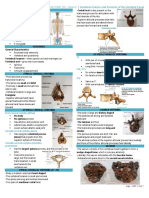 Vertebral Column and Contents