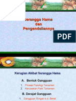 HPT Kebun (Hama Kelapa Sawit)