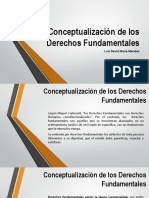 Conceptualización de Los Derechos Fundamentales