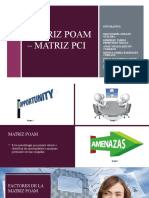 Matriz POAM - Matriz PCI.