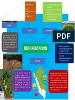 Deforestacion Organizadores