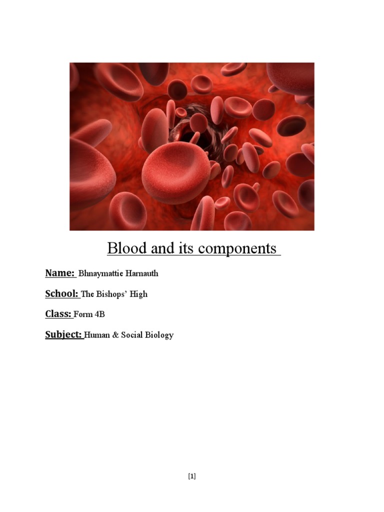 Functions and Components of Blood | PDF | Blood | Human Body