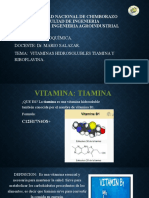 Vit.hidrosolubles Tiamina Rivoflavina