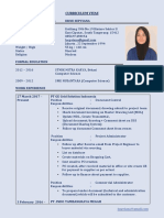 Curriculum Vitae: Personal Details - Irine Sepviana