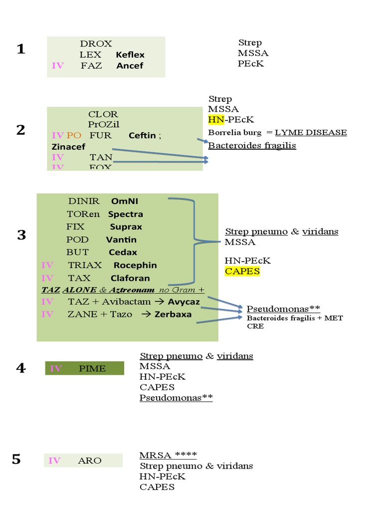 Cephalosporin Generations and Coverage PDF