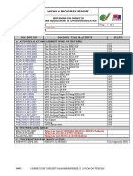 Weekly Progress Report for Piping Documents