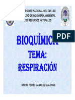 05 Bioquímica Hp