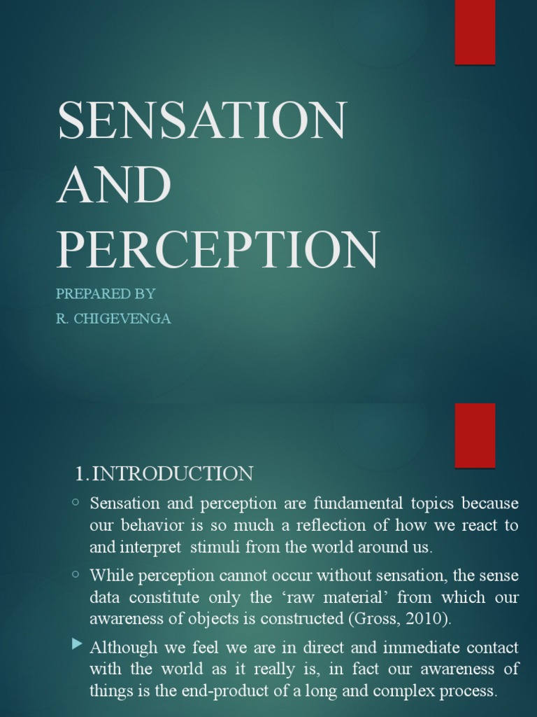 Sensation and Perception Explained | PDF | Senses | Extrasensory Perception