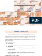 185040010-Desti Sri Setianti-Sistem Saraf Pertemuan 4-BIOA