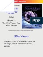 THE RNA VIRUSES