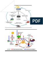 Biolog i