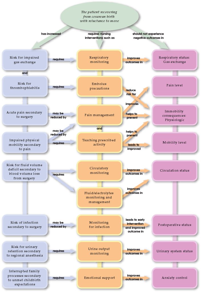 CM Cesarean Birth | PDF | Surgery | Childbirth