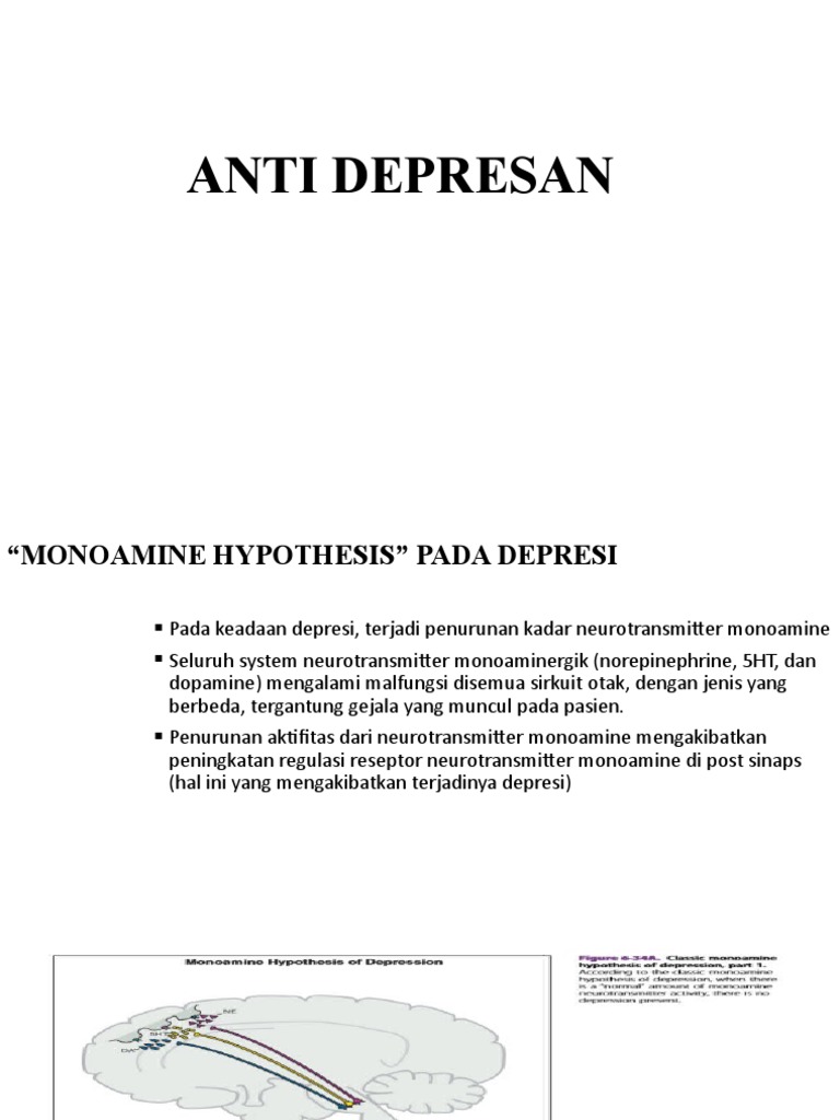 Anti Depresan | PDF | Antidepressant | Selective Serotonin Reuptake ...