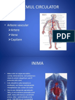 Activitatea Cardiaca