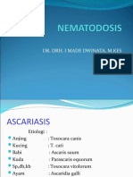 Ascariosis Dan Strongyloidosis 2021