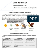 CIENCIASsemanas 3 y 4