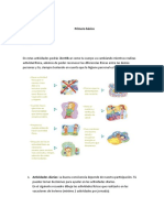 Primero Básico 3 Clase (1)