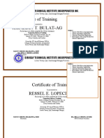 Certificate of Training Jeraldin T. Bulat-Ag: Sibugay Technical Institute Incorporated Inc